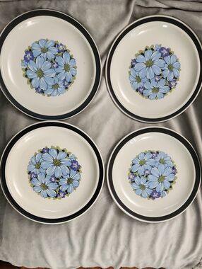Vintage Designer's Collection Stoneware Blue Shasta Salad Plates (Set of 4)